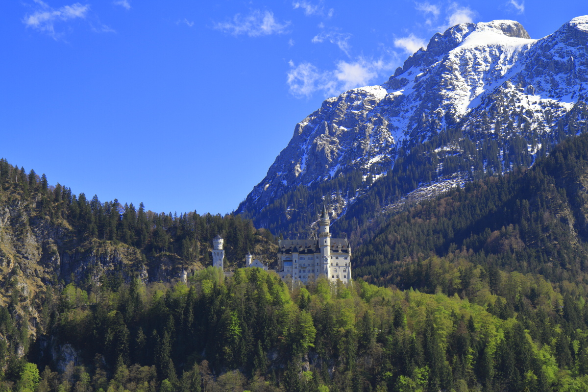 05.05 Neuschwanstein  MG 1959