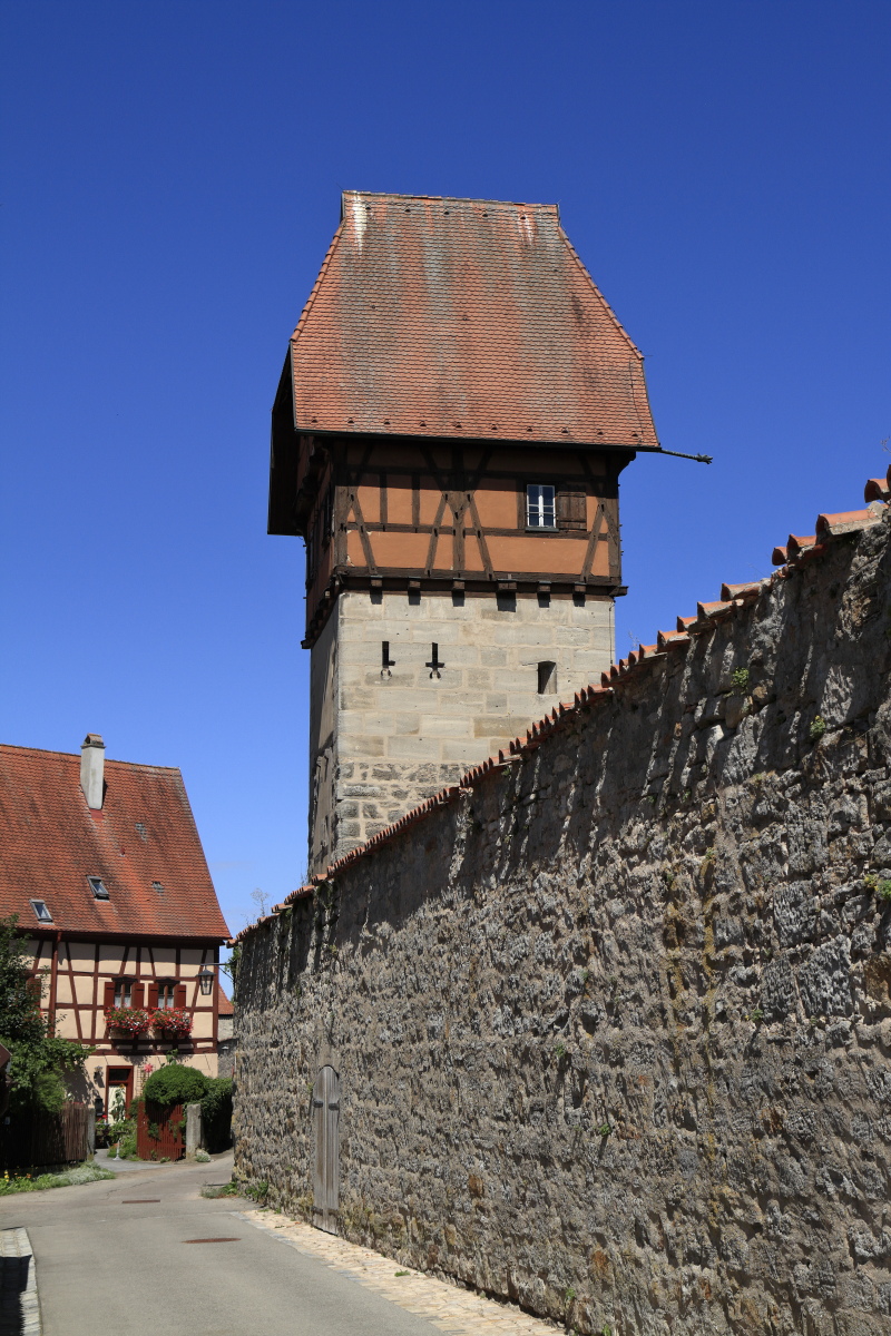 08.18 Dinkelsbühl  MG 6468