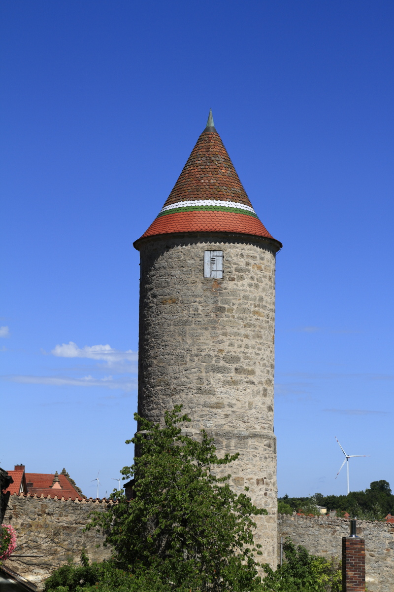 08.18 Dinkelsbühl  MG 6474