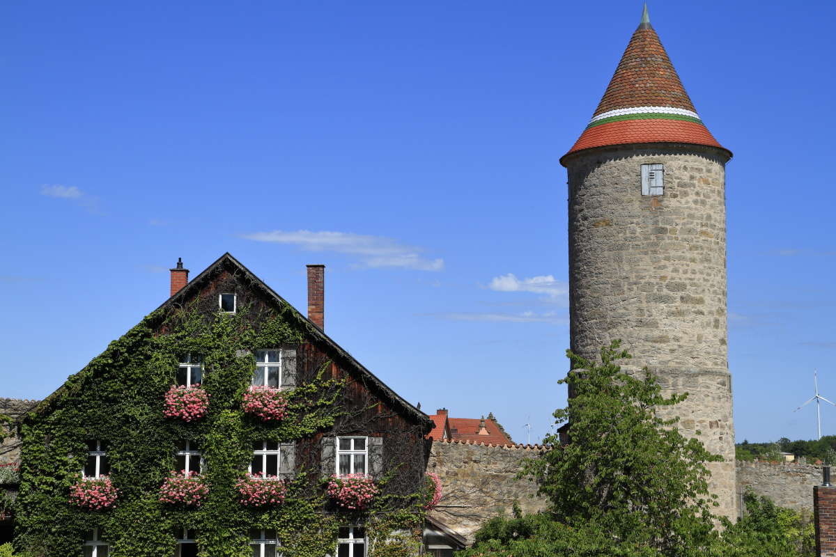 08.18 Dinkelsbühl  MG 6475