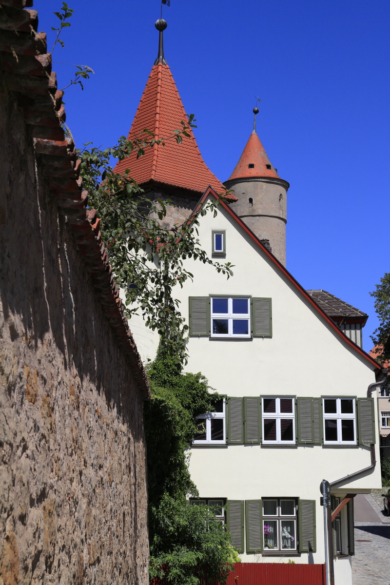 08.18 Dinkelsbühl  MG 6496