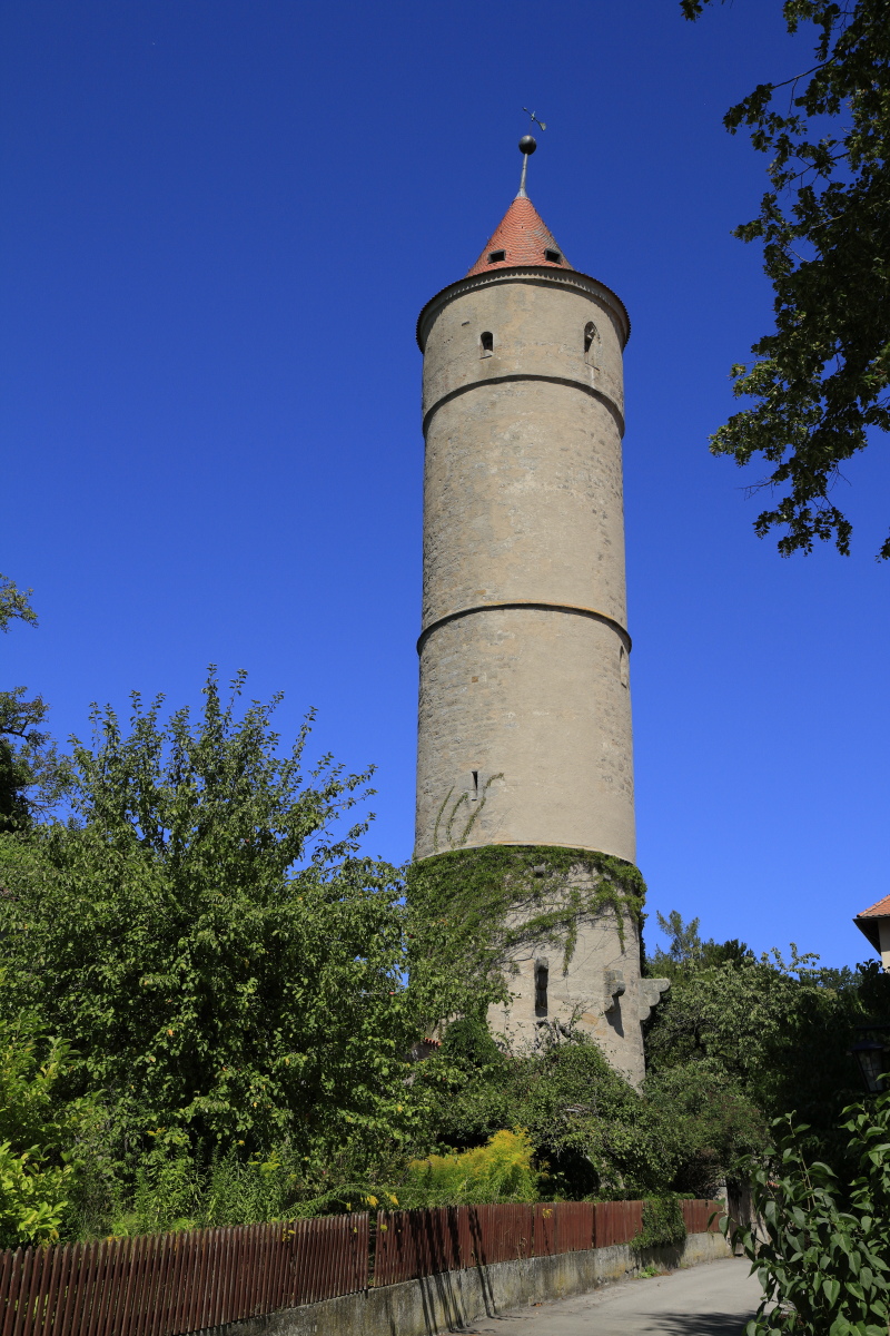 08.18 Dinkelsbühl  MG 6498