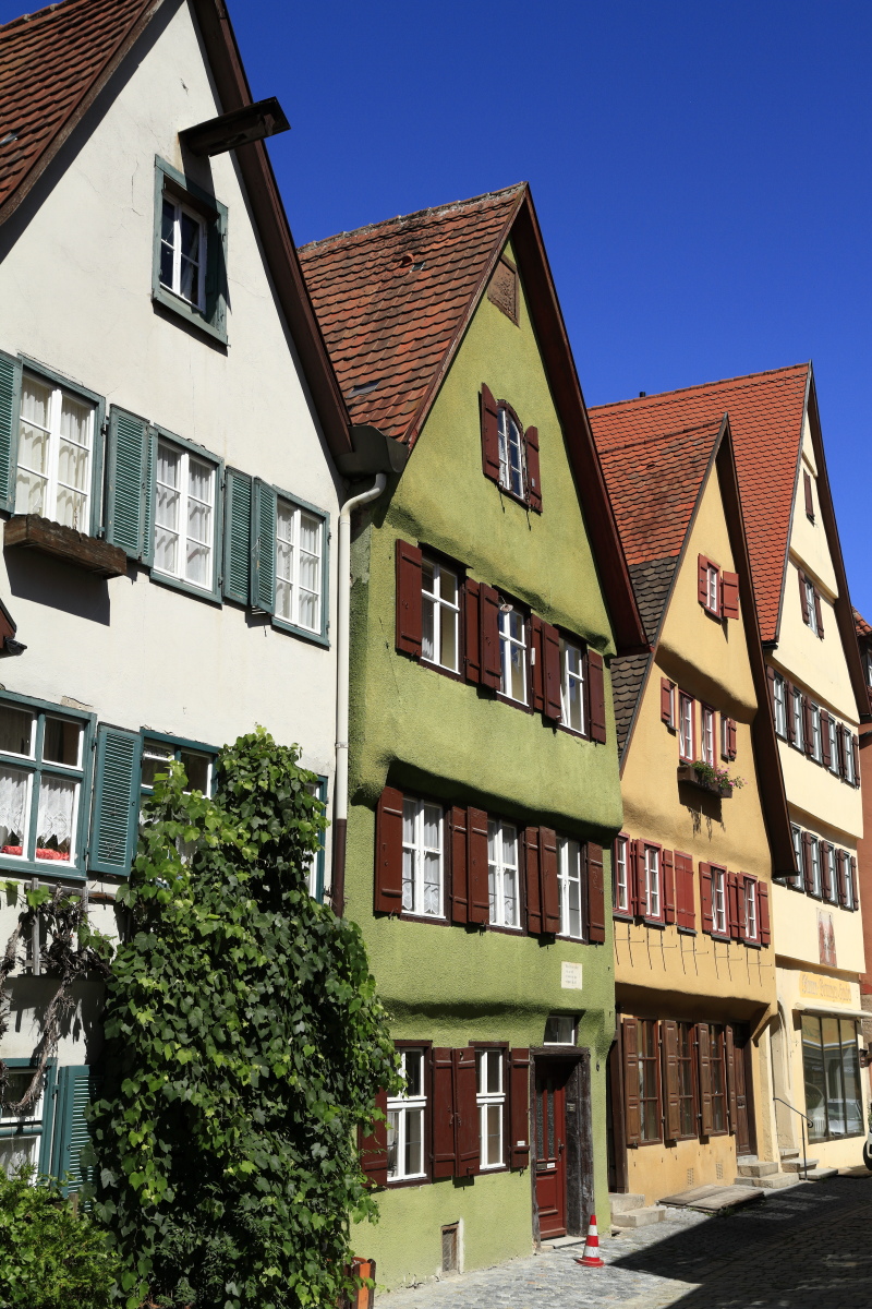 08.18 Dinkelsbühl  MG 6506