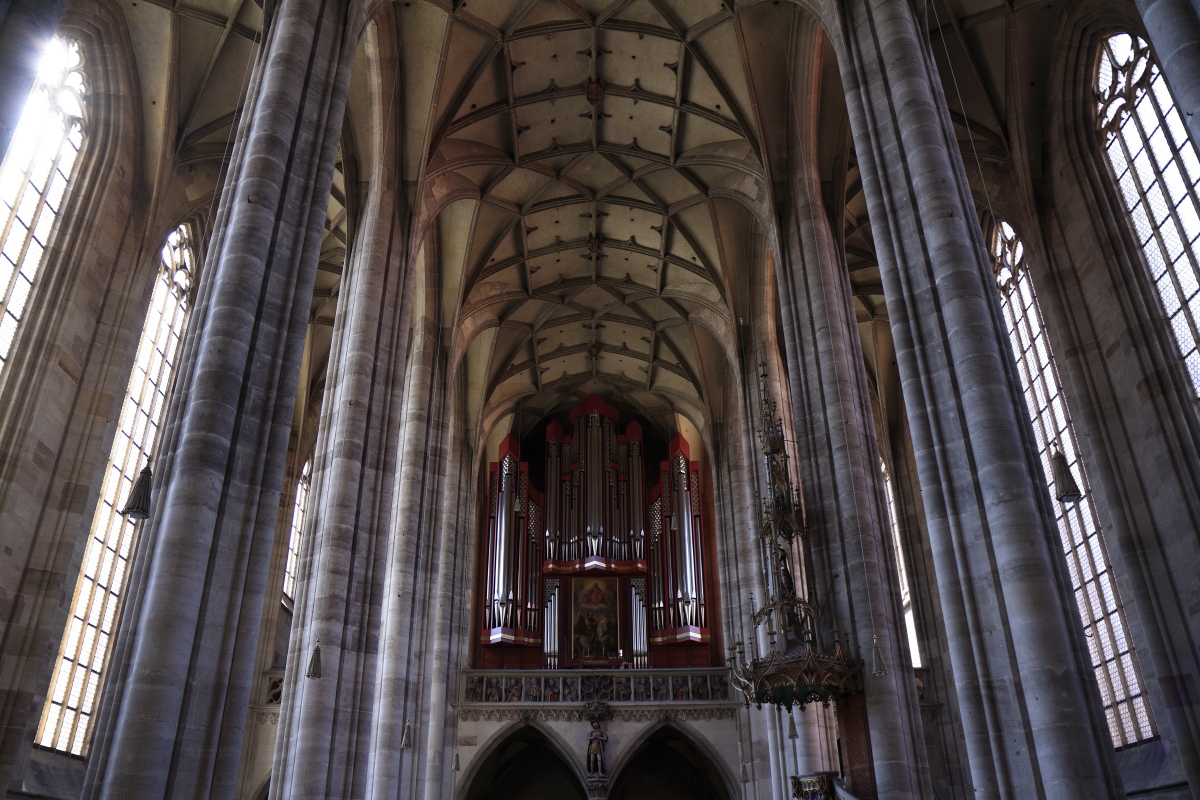 08.18 Dinkelsbühl  MG 6536