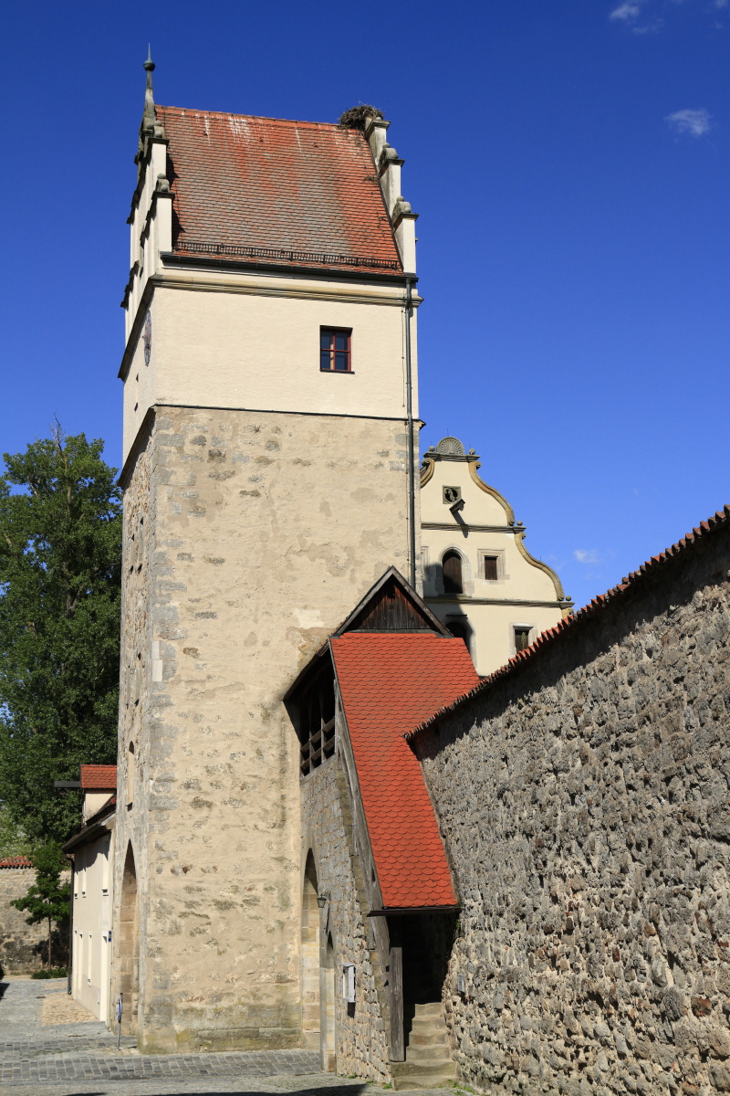 08.18 Dinkelsbühl  MG 6557