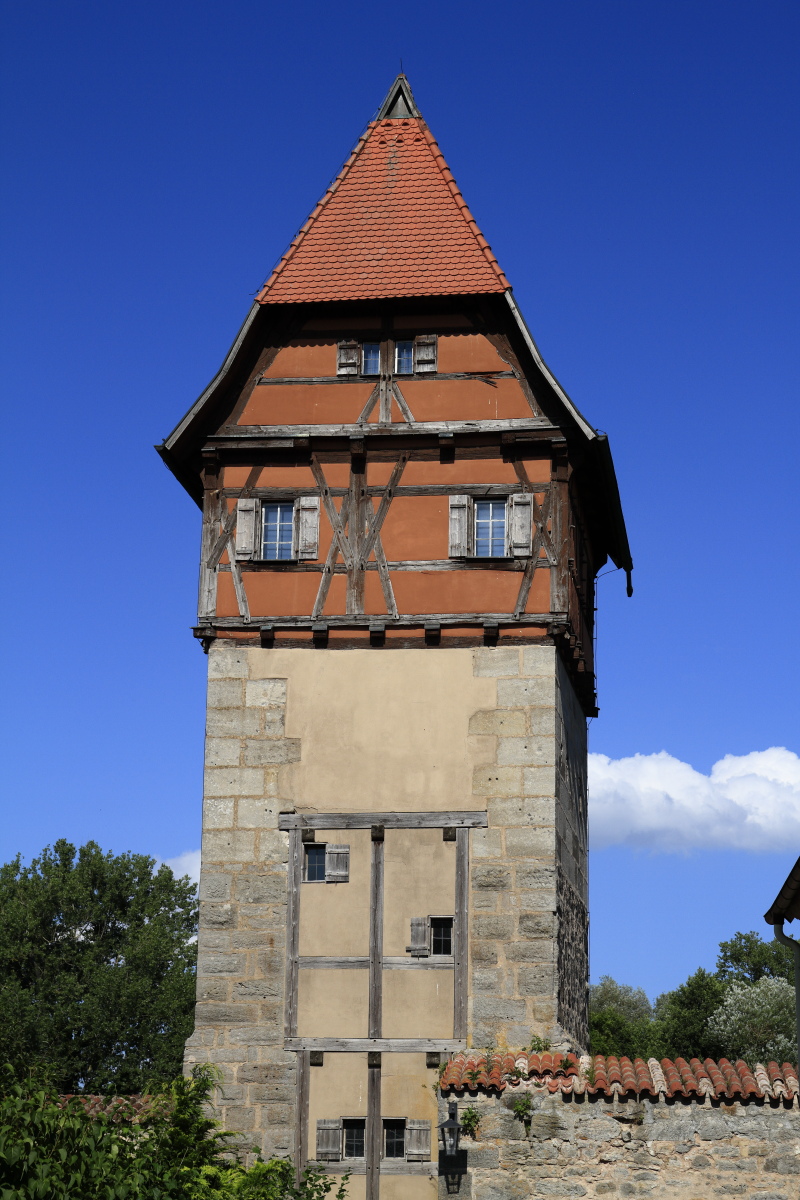 08.18 Dinkelsbühl  MG 6562