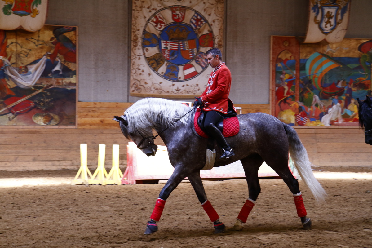 06.29 Balaton  MG 5797