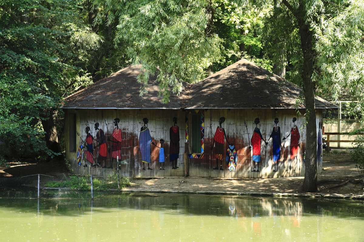 07.25 Nyíregyháza  MG 8784