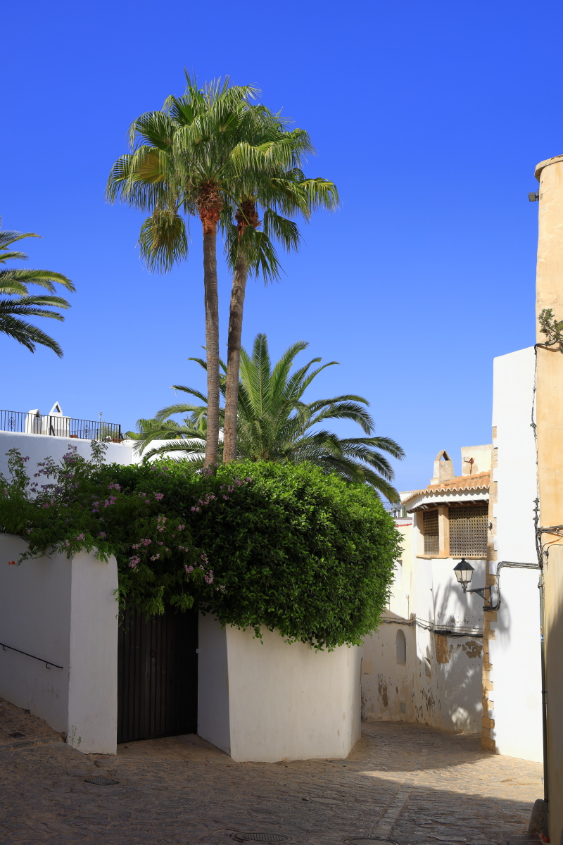09.06 Ibiza  08A1627