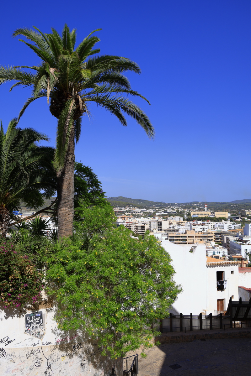 09.06 Ibiza  08A1637