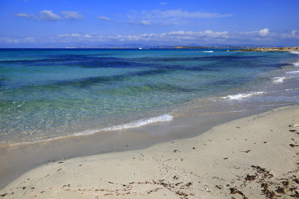 09.09 Ibiza  08A2185