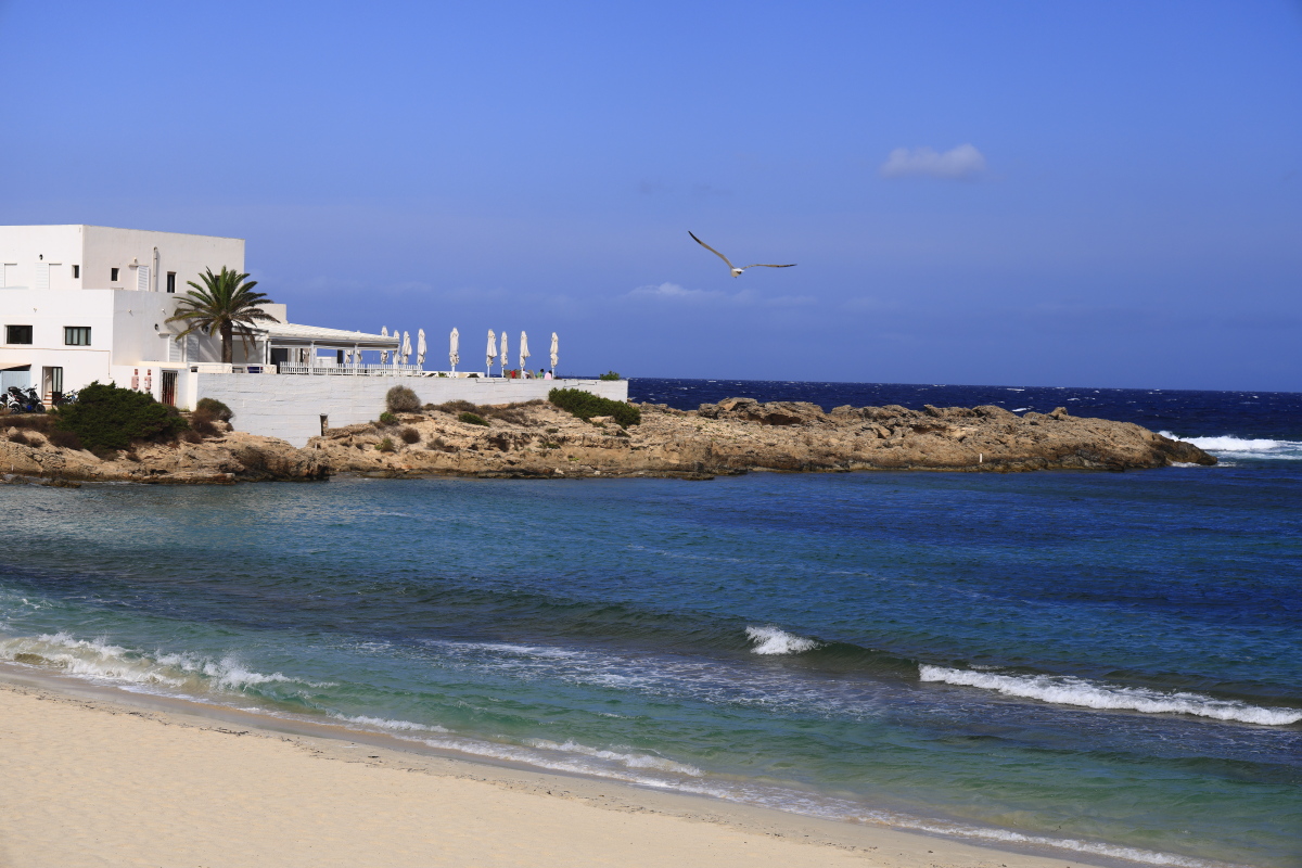 09.09 Ibiza  08A2239
