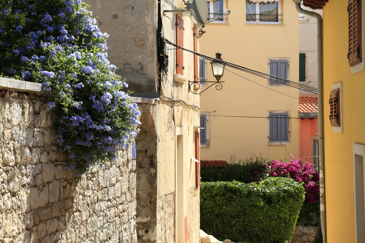 09.14 Istrien  MG 9481