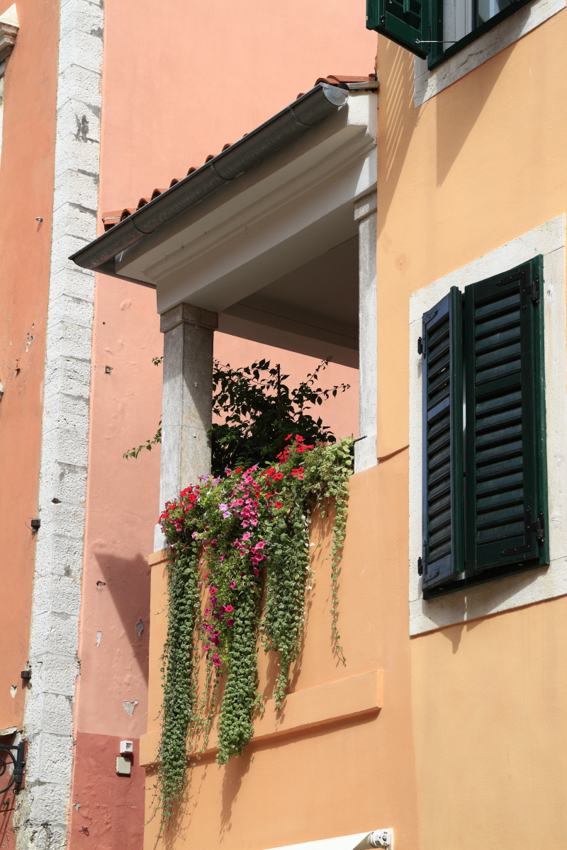 09.14 Istrien  MG 9505