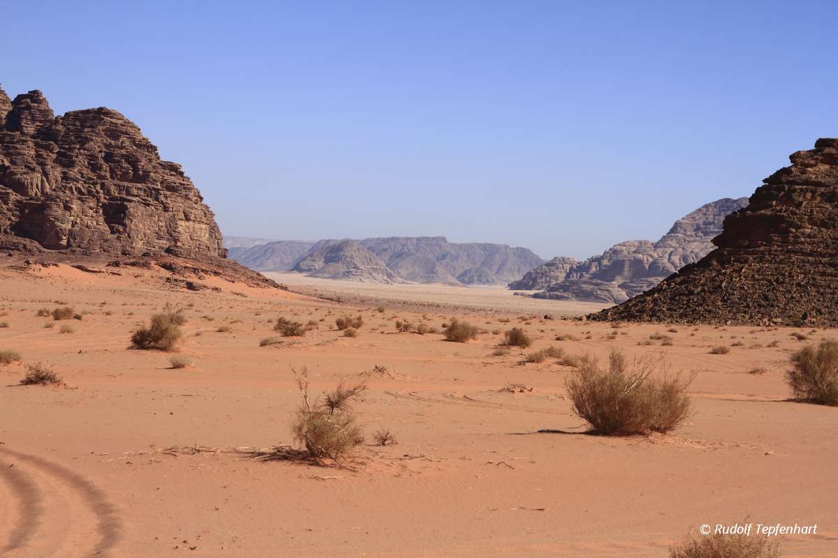 The Wadi Rum
