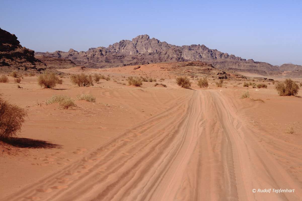 The Wadi Rum