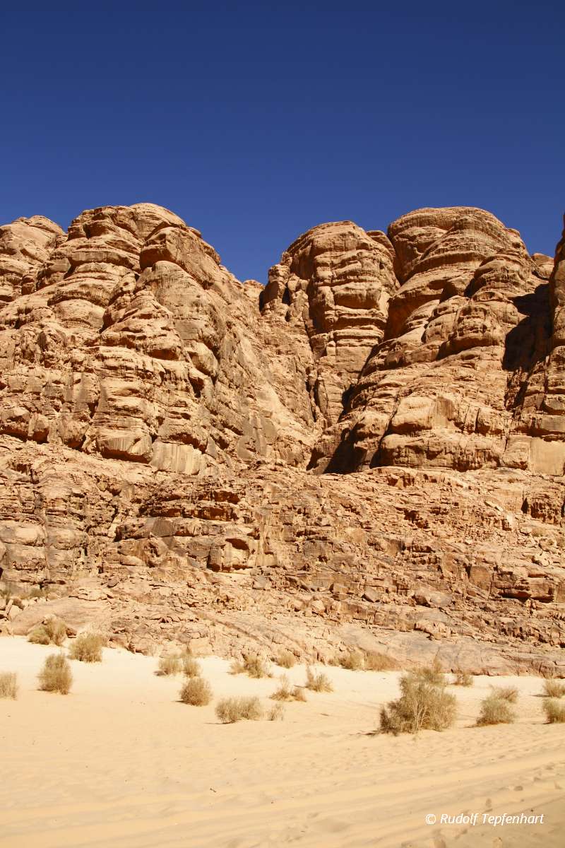 The Wadi Rum