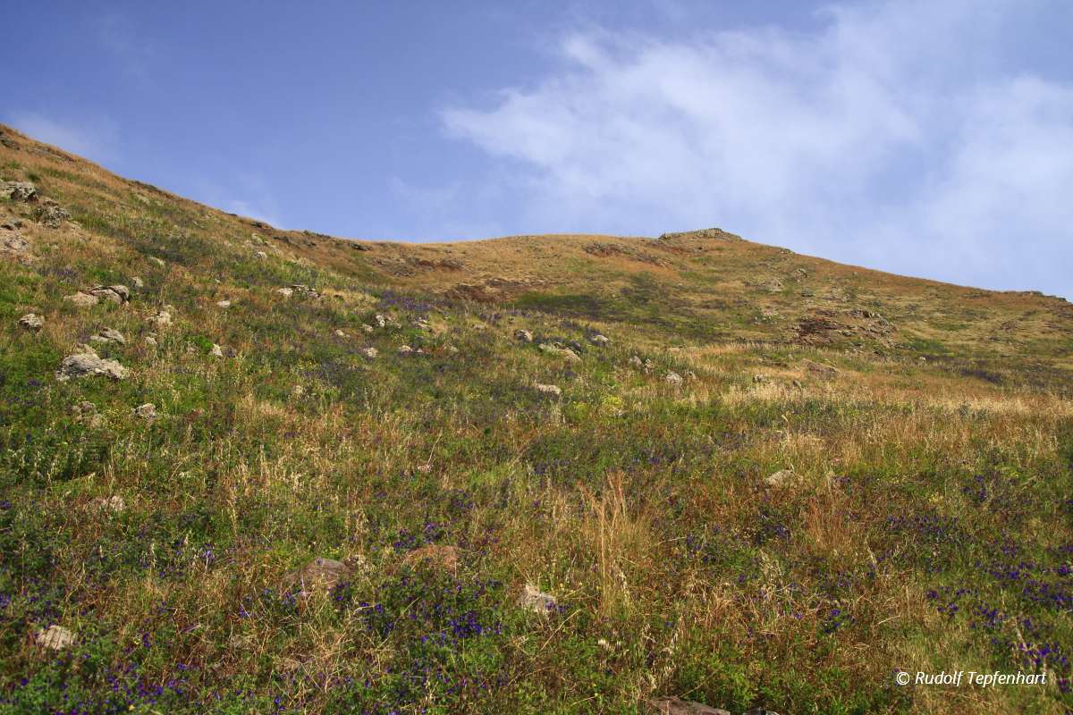 Ponta do Sao Lourenco