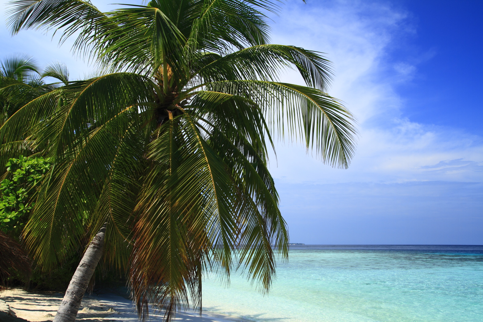 ދިވެހިރާއްޖޭގެ ޖުމްހޫރިއްޔާ   🇲🇻