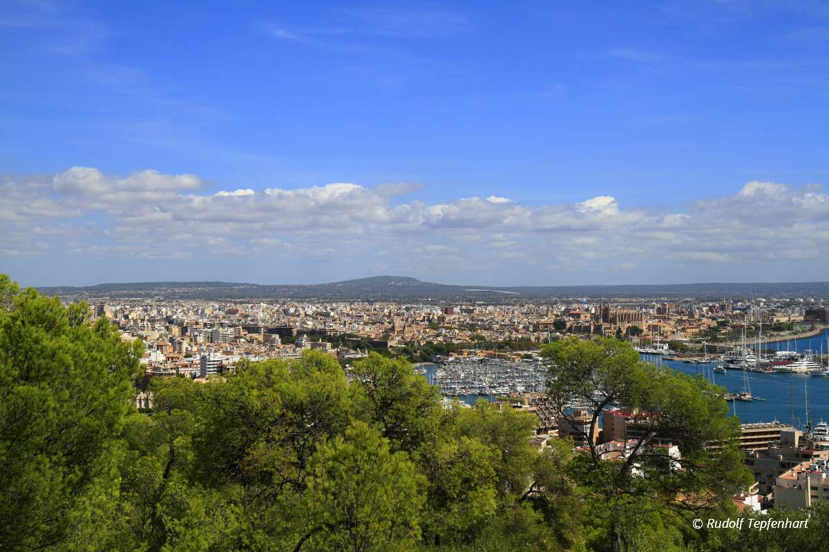 Aerial view of Palma de Mallorca in Majorca, Balearic Islands, S