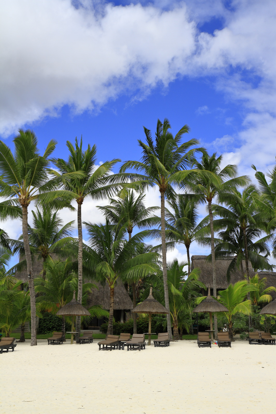 09.12 Mauritius  MG 6577