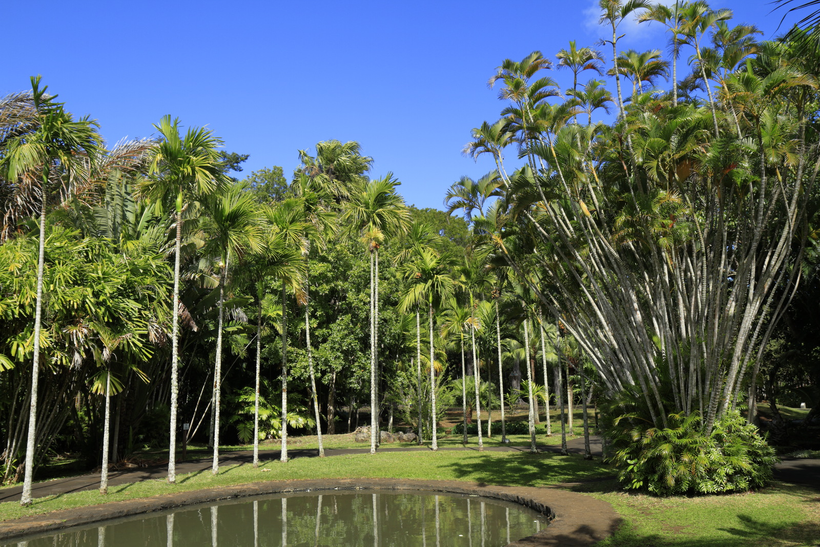 09.14 Mauritius  MG 6594