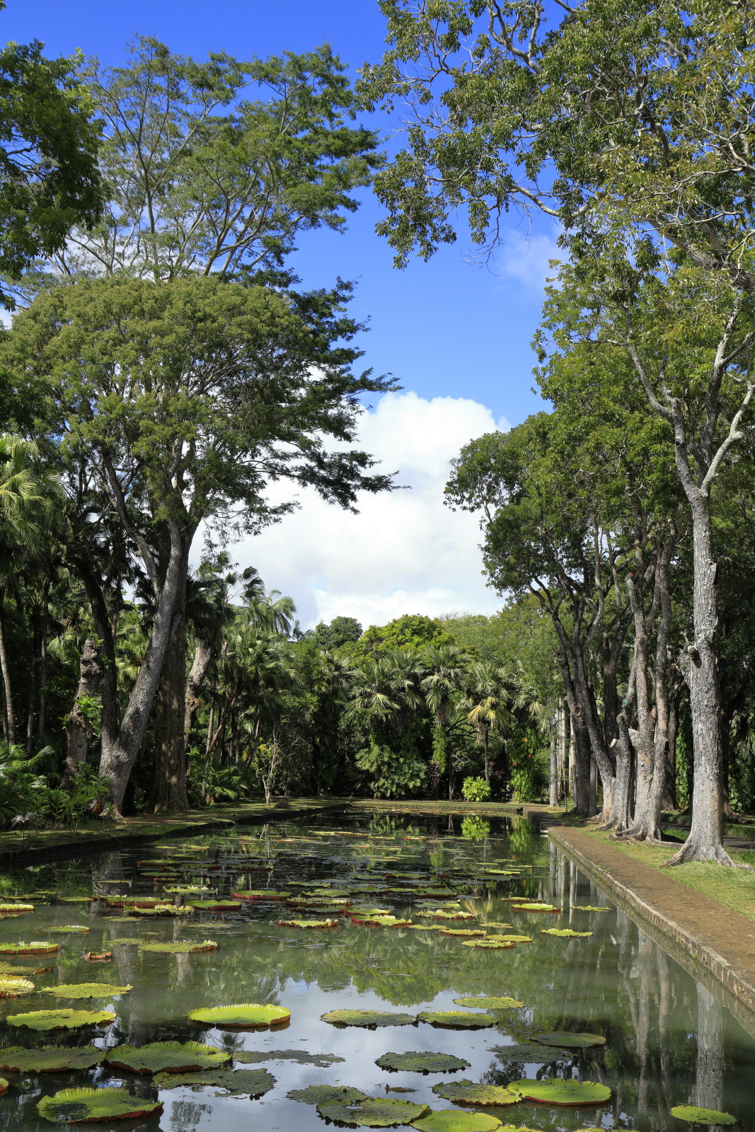 09.14 Mauritius  MG 6598