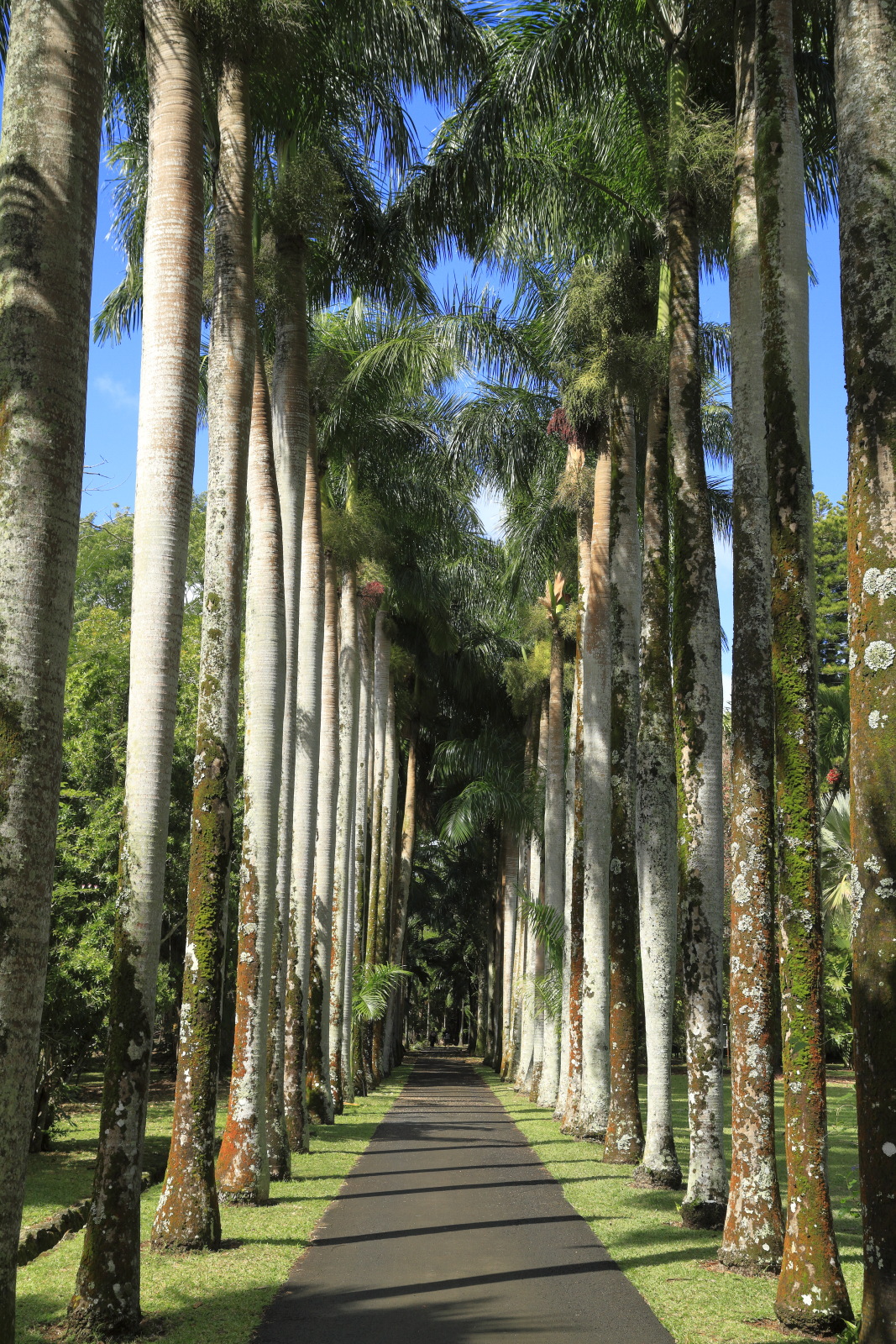 09.14 Mauritius  MG 6606