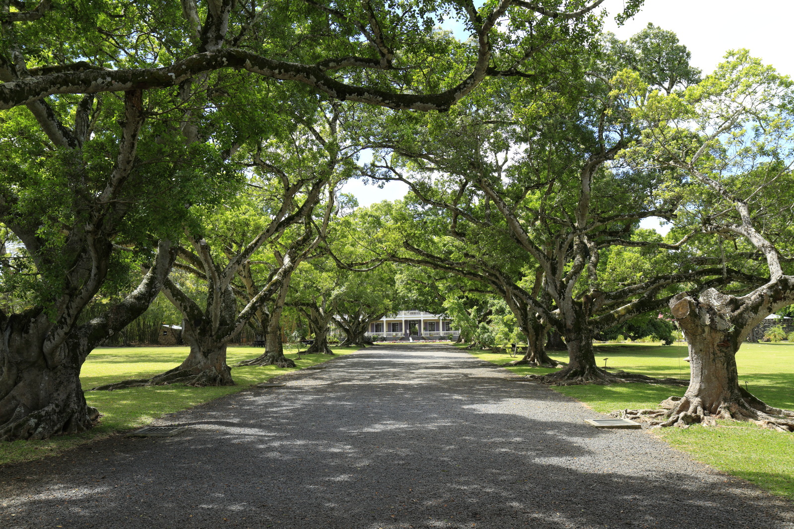 09.14 Mauritius  MG 6634