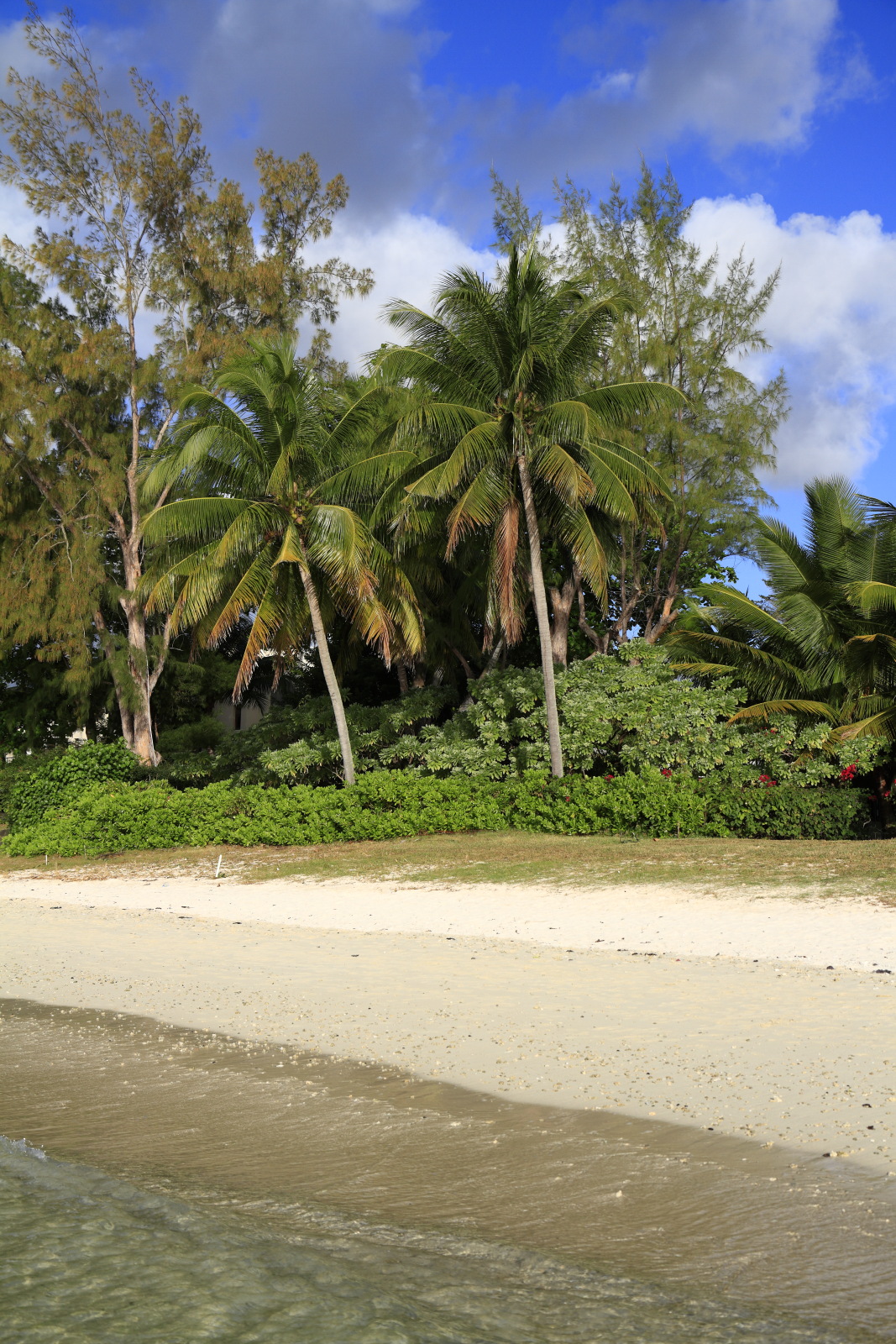 09.14 Mauritius  MG 6698