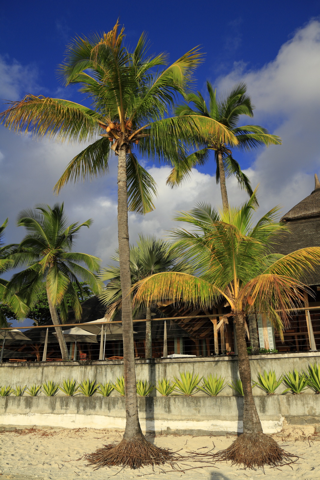 09.14 Mauritius  MG 6705