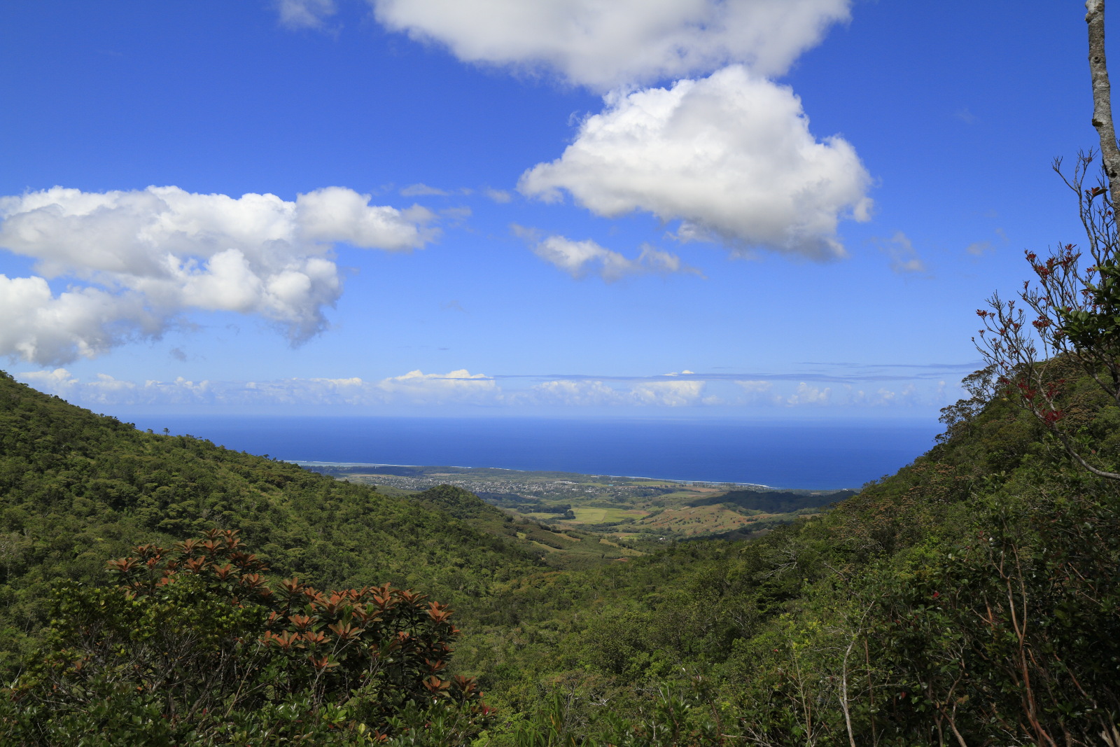 09.15 Mauritius  MG 6724