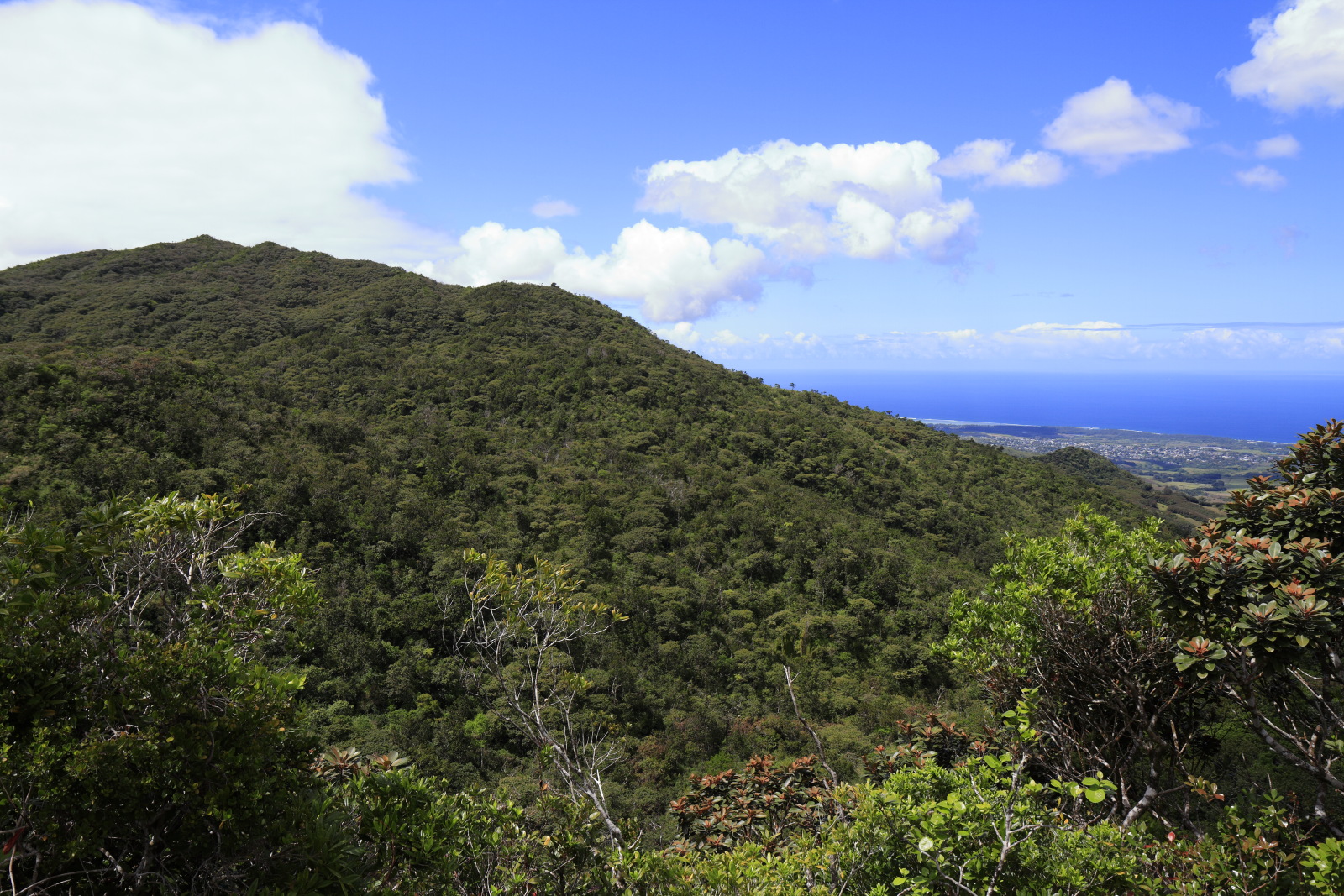 09.15 Mauritius  MG 6725