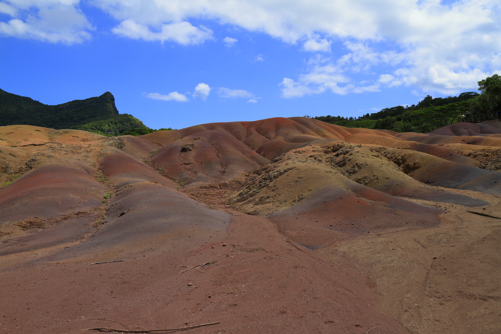 09.15 Mauritius  MG 6736