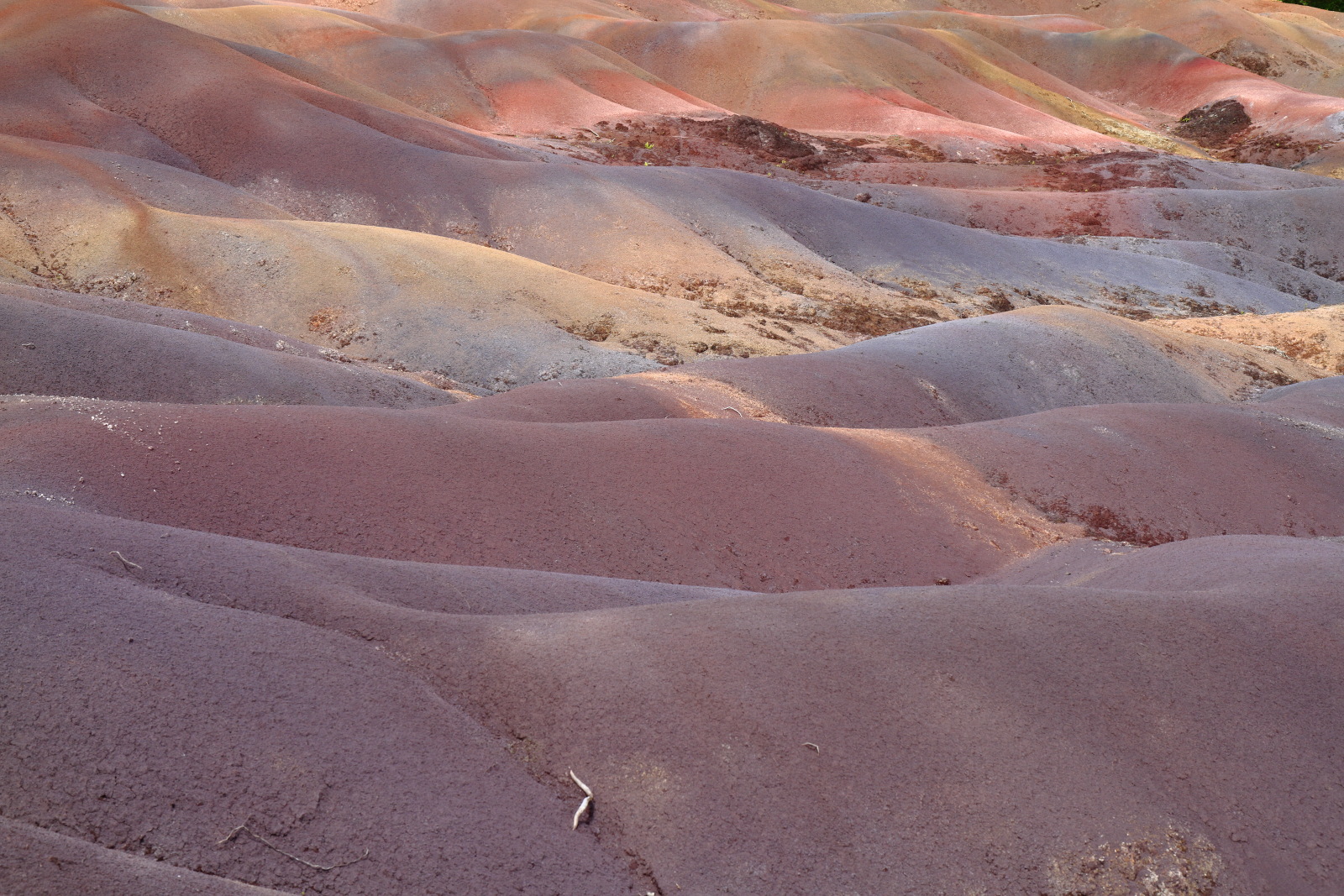 09.15 Mauritius  MG 6742