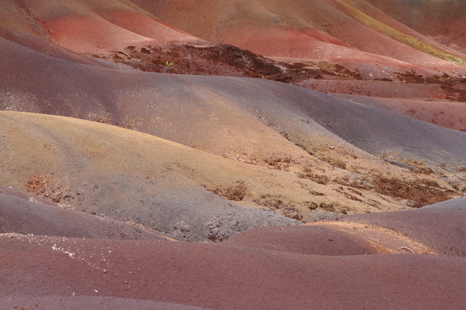 09.15 Mauritius  MG 6754