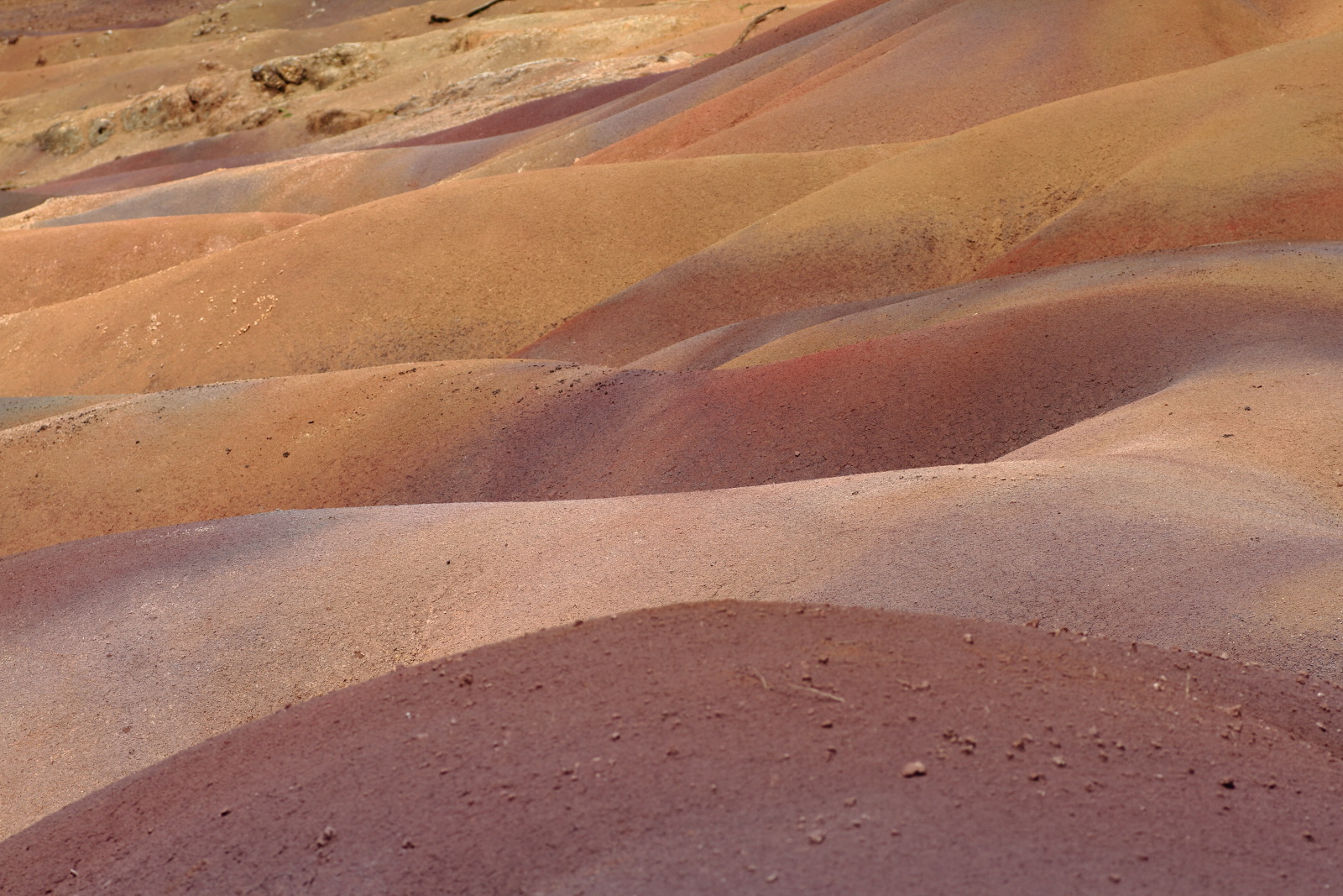 09.15 Mauritius  MG 6759