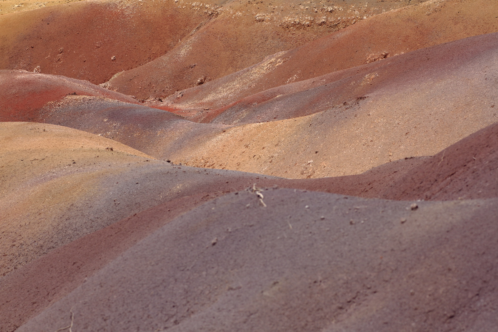 09.15 Mauritius  MG 6761