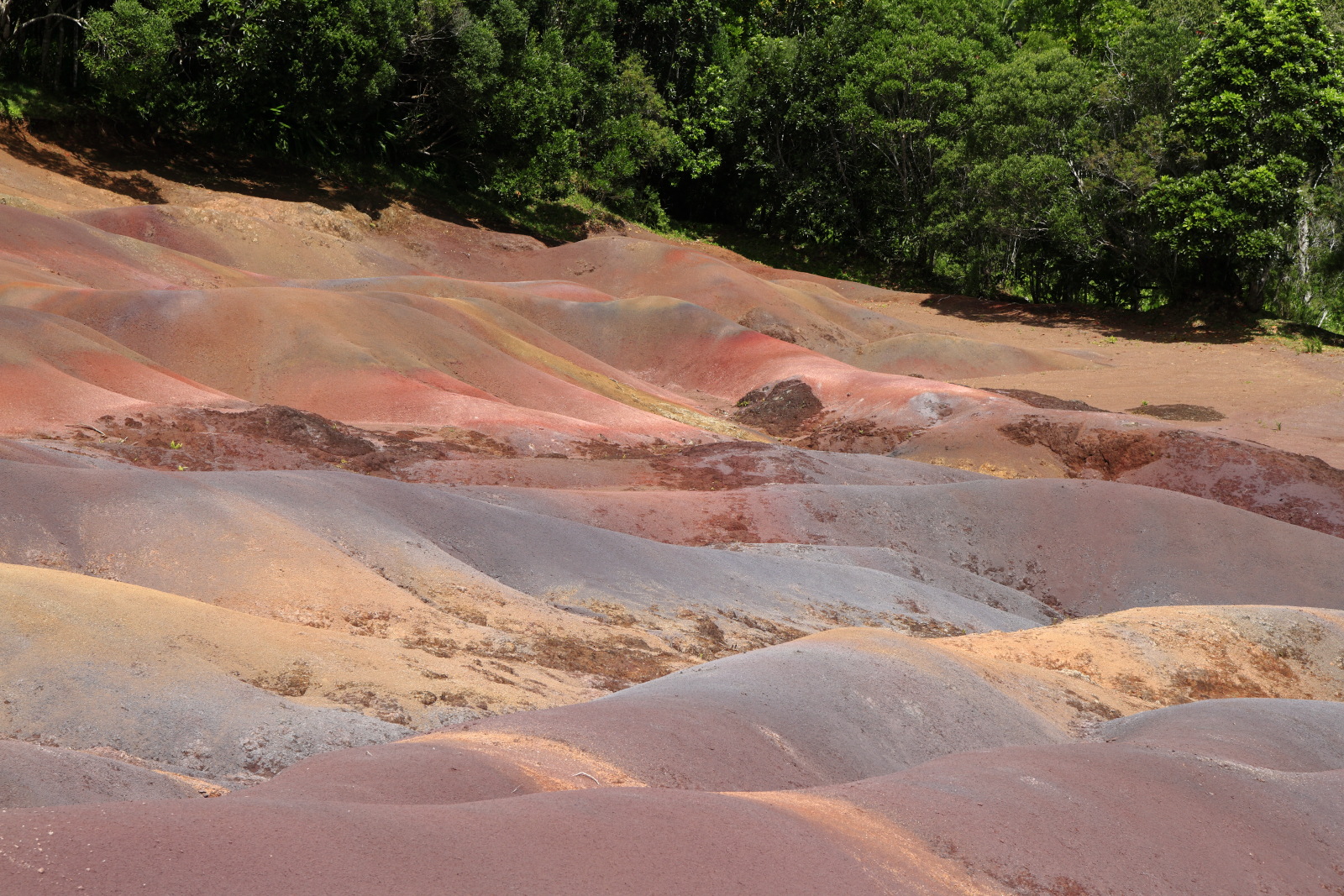 09.15 Mauritius  MG 6769