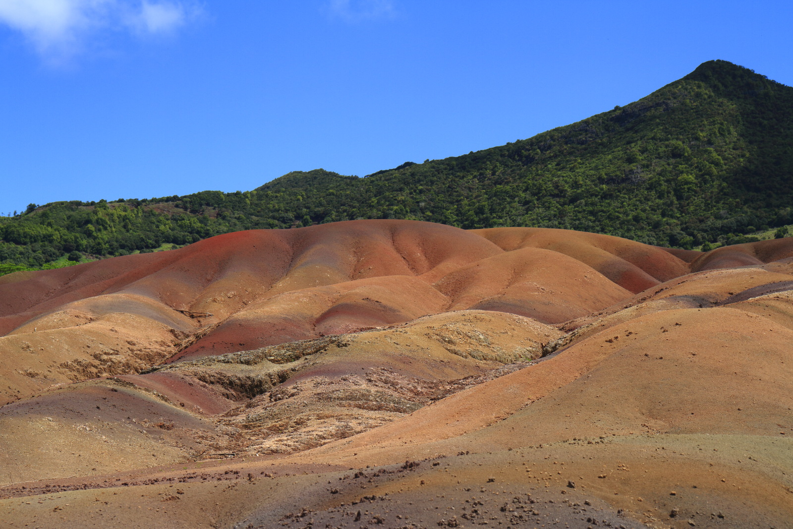 09.15 Mauritius  MG 6771