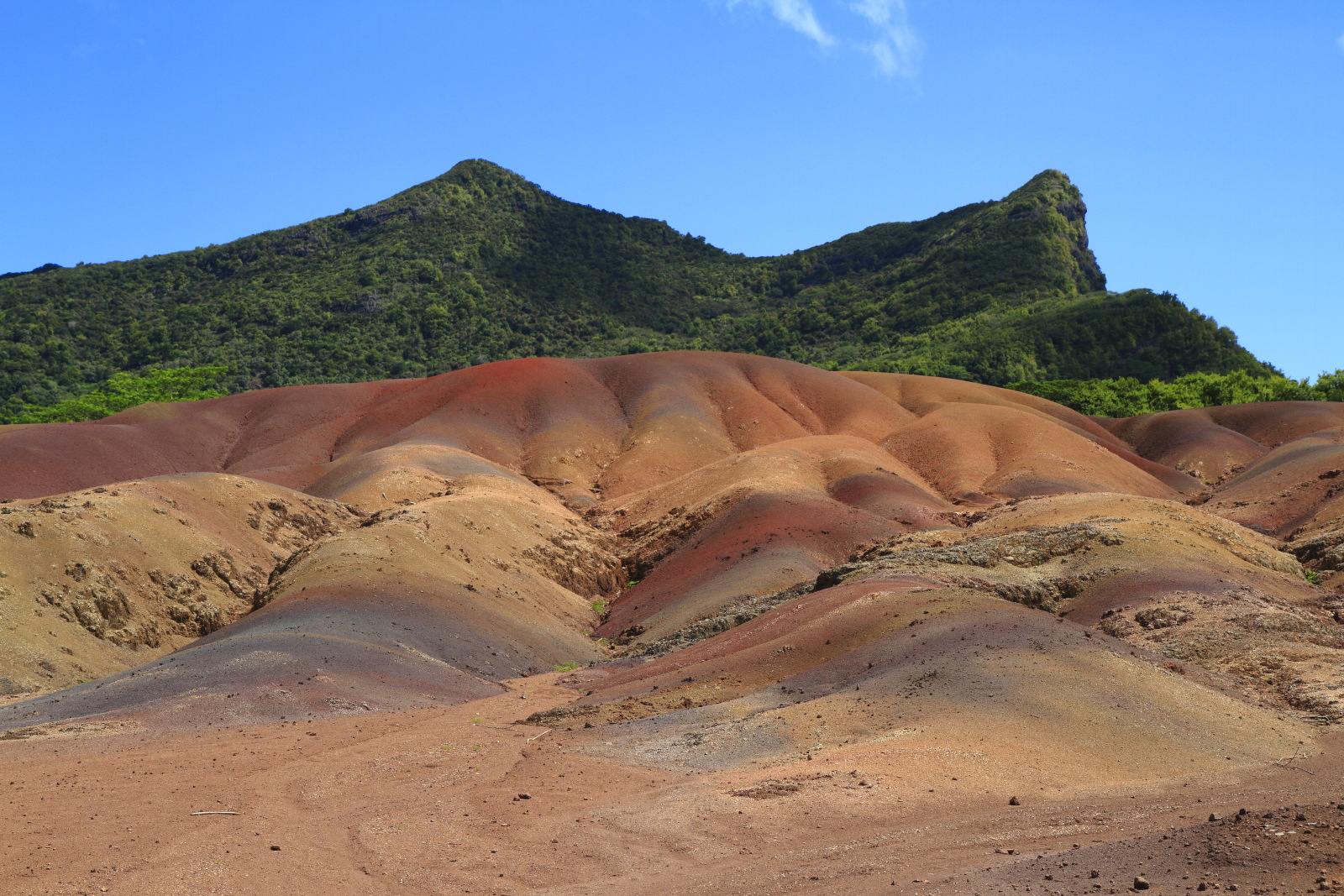 09.15 Mauritius  MG 6772