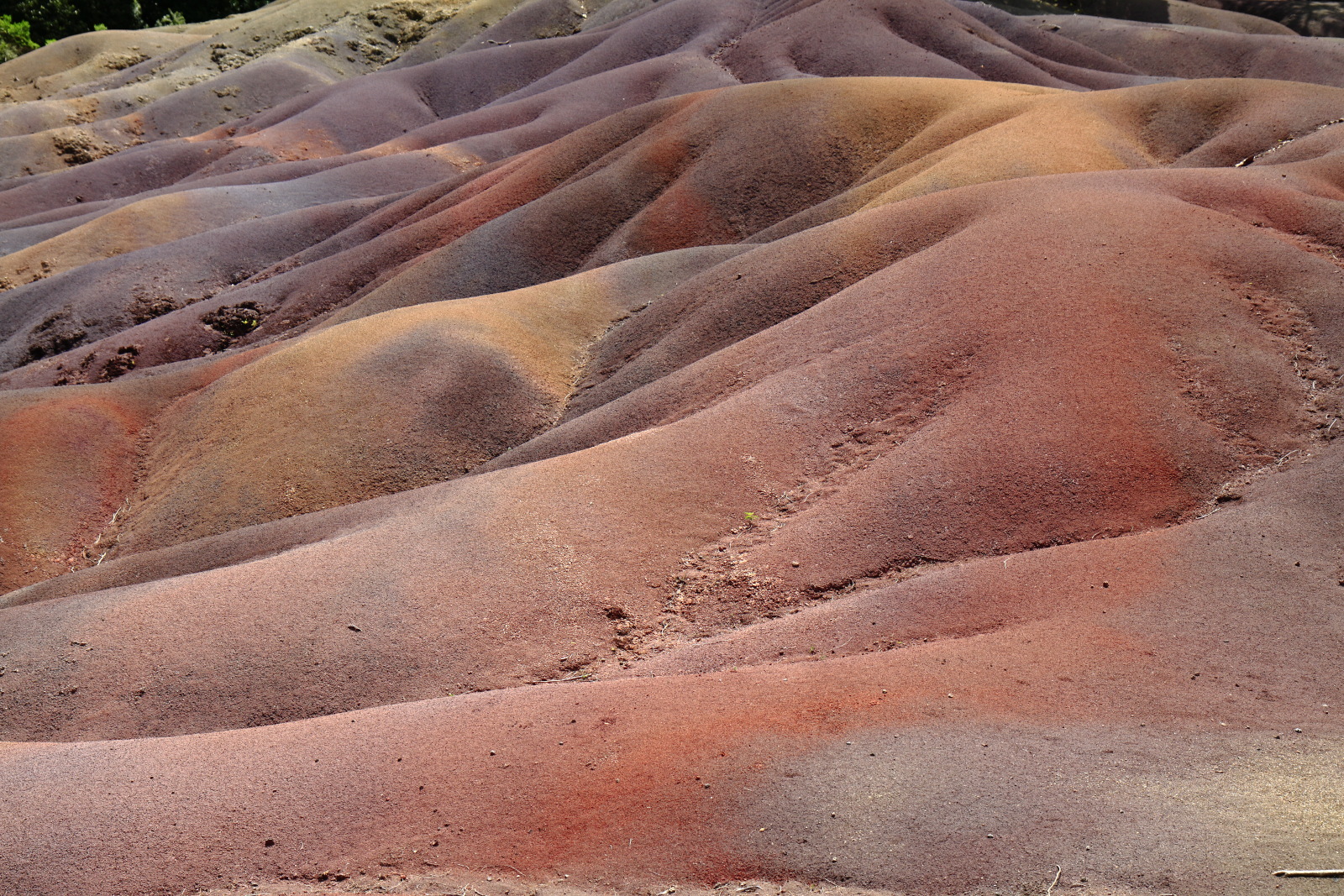 09.15 Mauritius  MG 6774