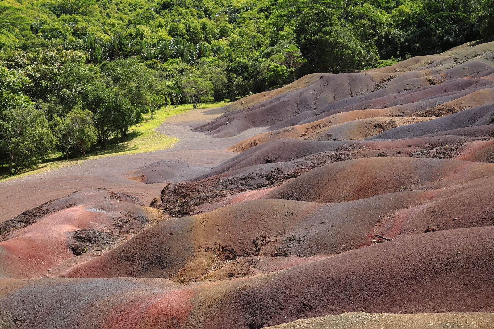 09.15 Mauritius  MG 6776