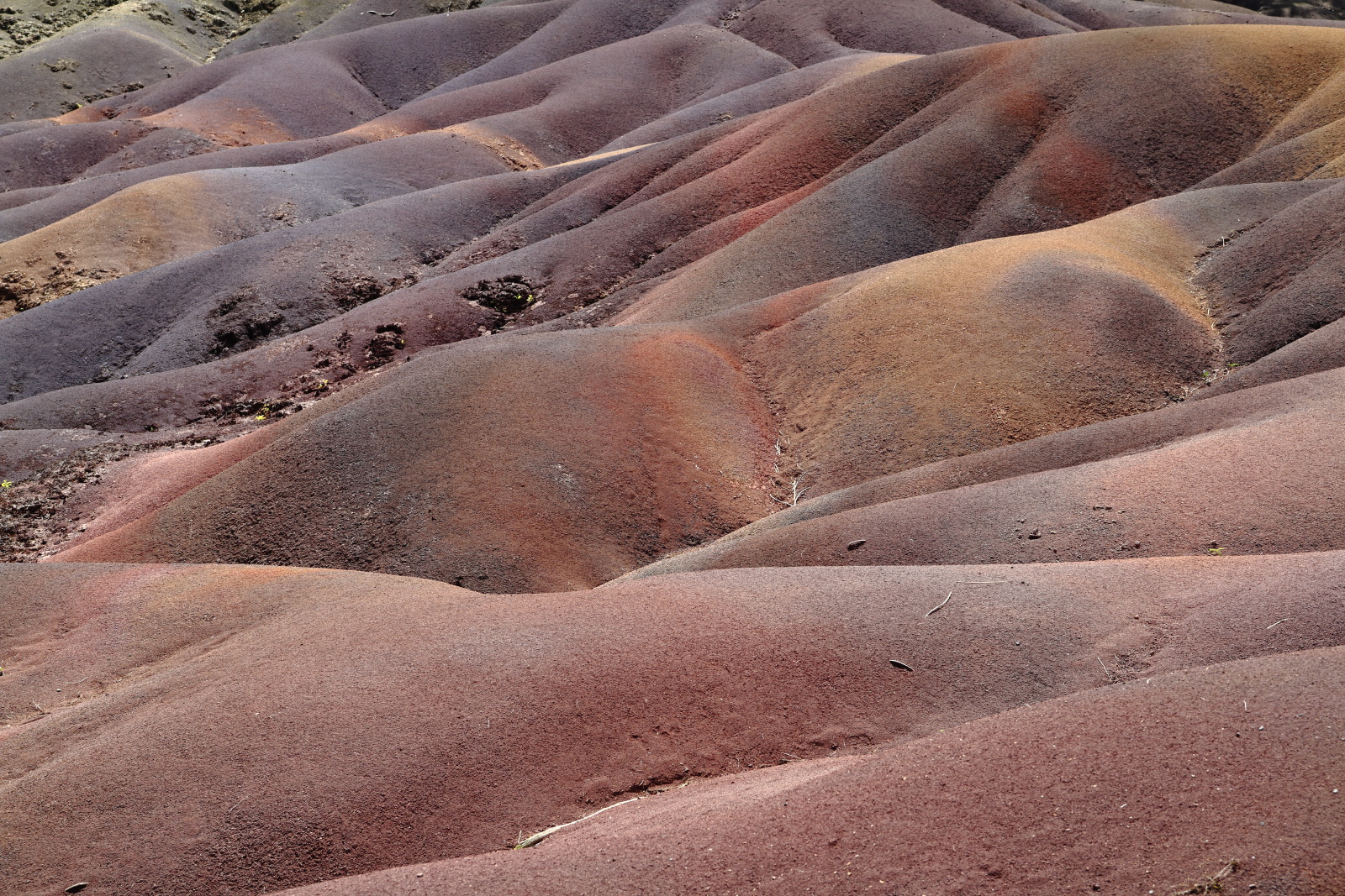 09.15 Mauritius  MG 6777