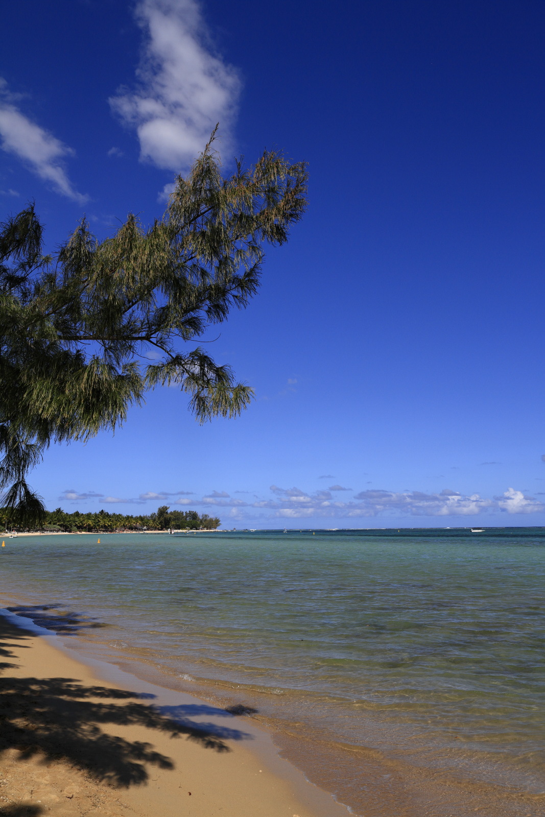 09.15 Mauritius  MG 6793