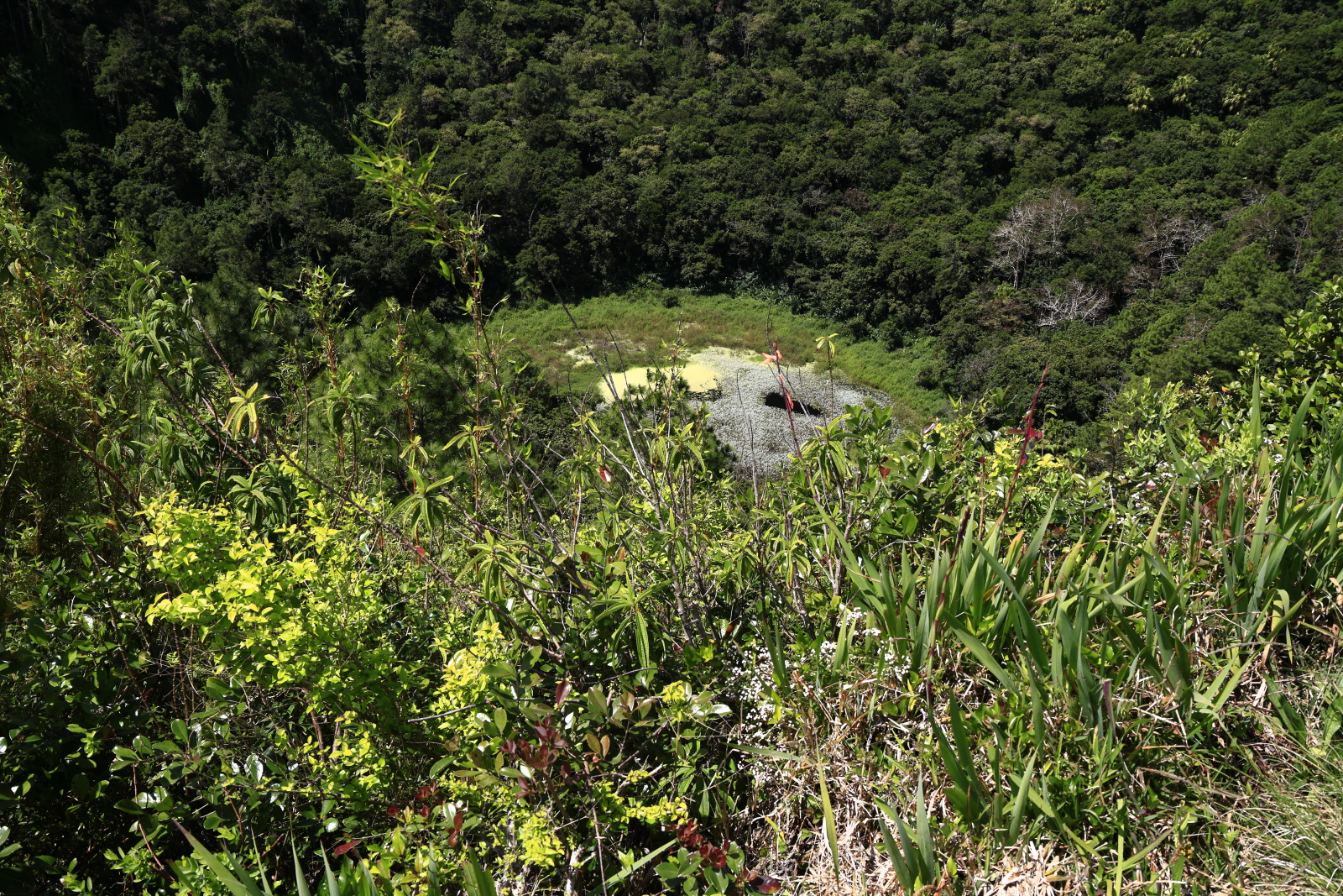 09.16 Mauritius  MG 6843