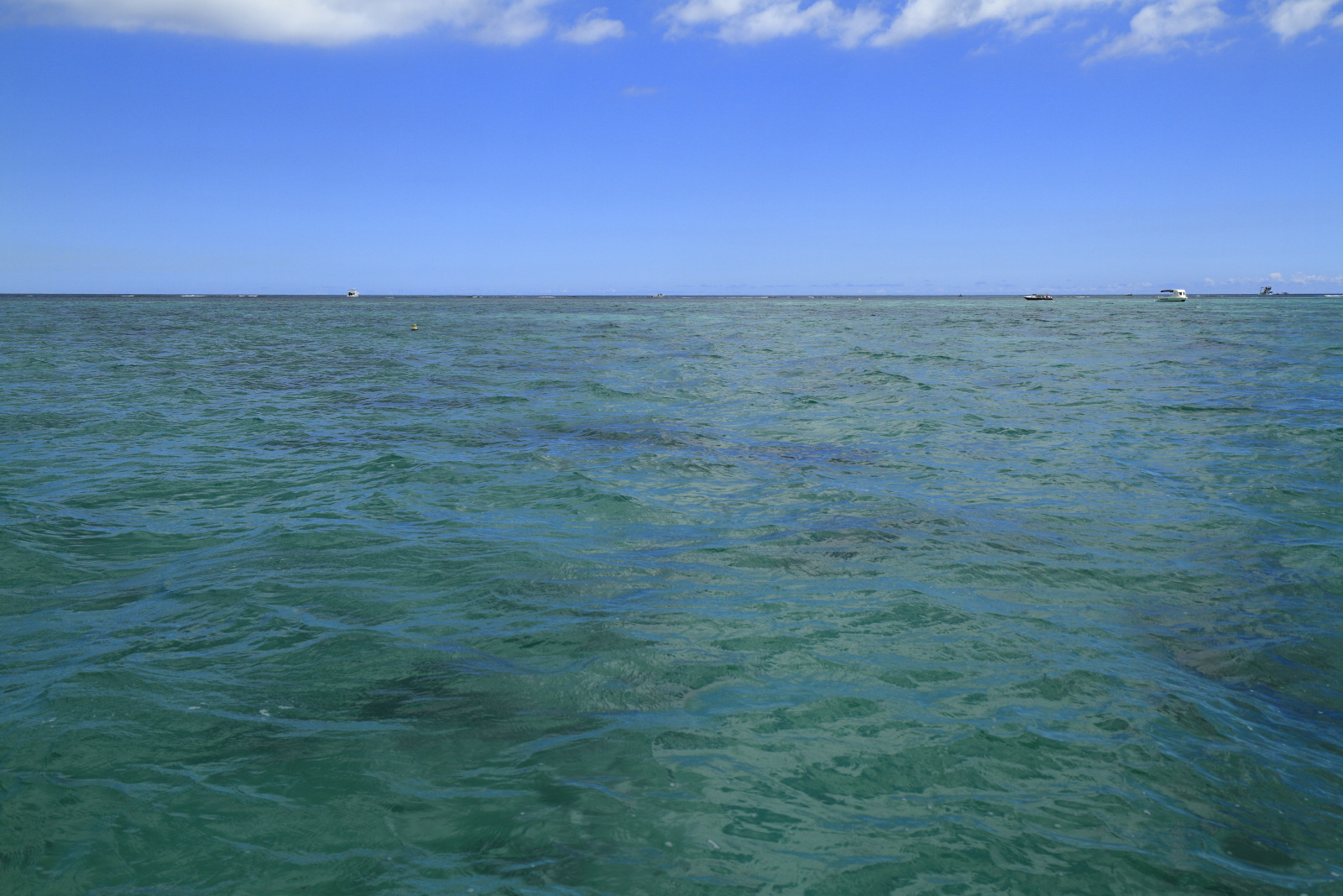 09.19 Mauritius  MG 6944