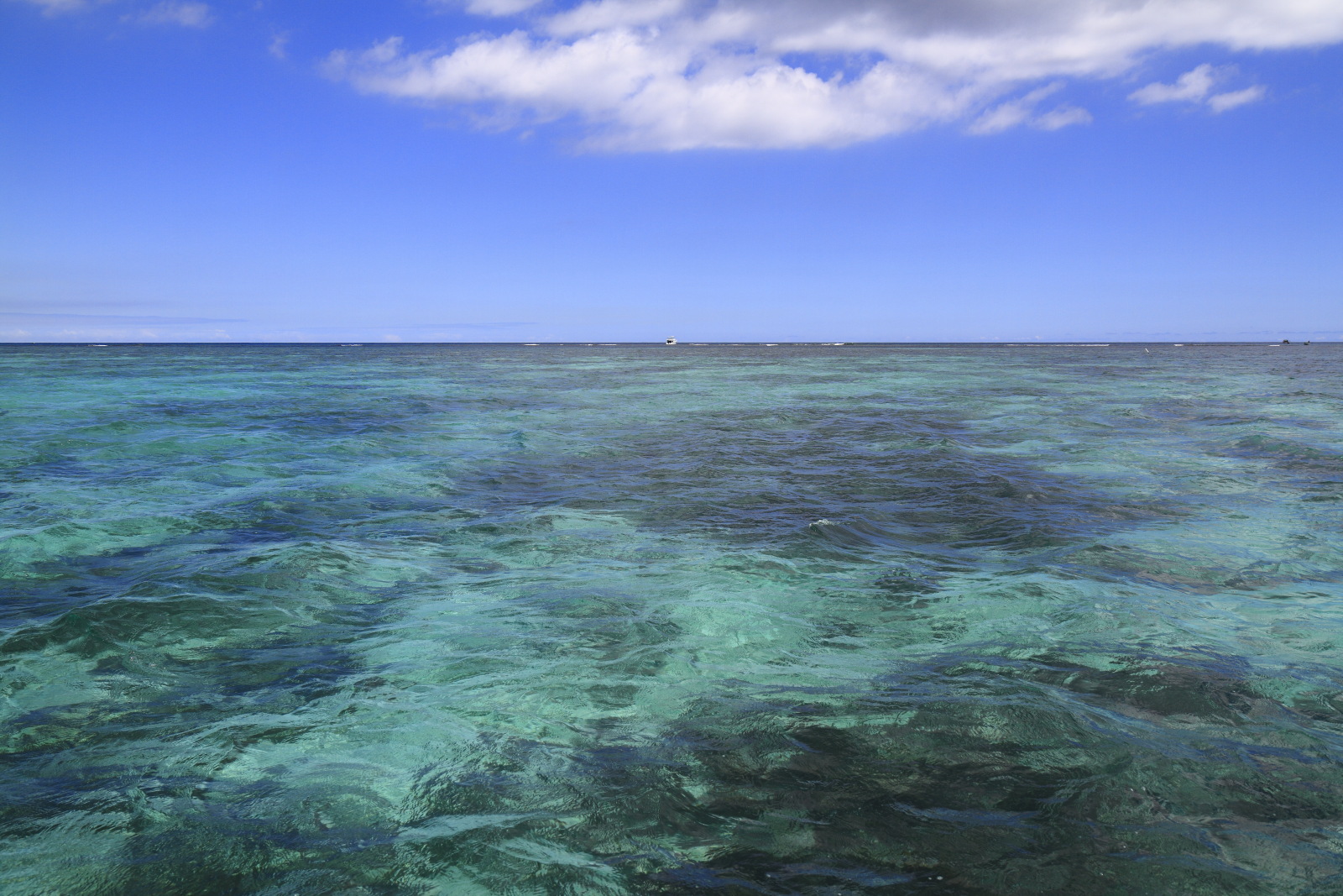 09.19 Mauritius  MG 6953