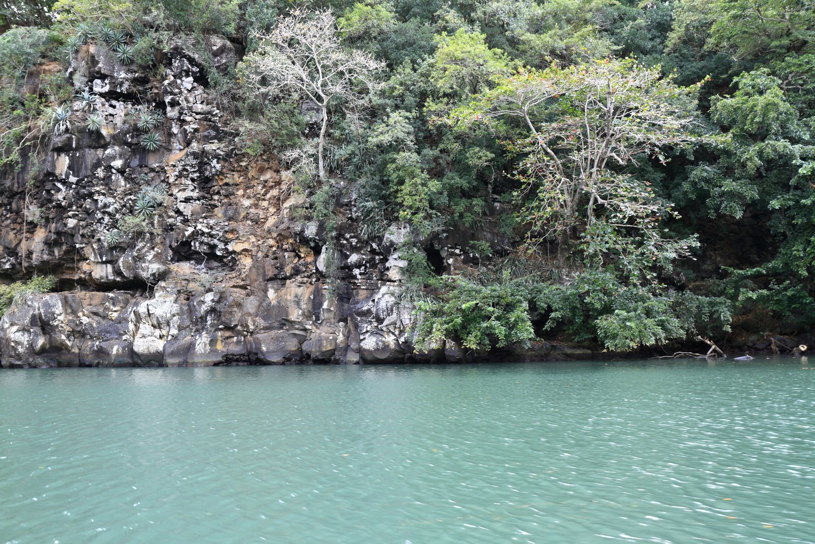 09.21 Mauritius  MG 7057