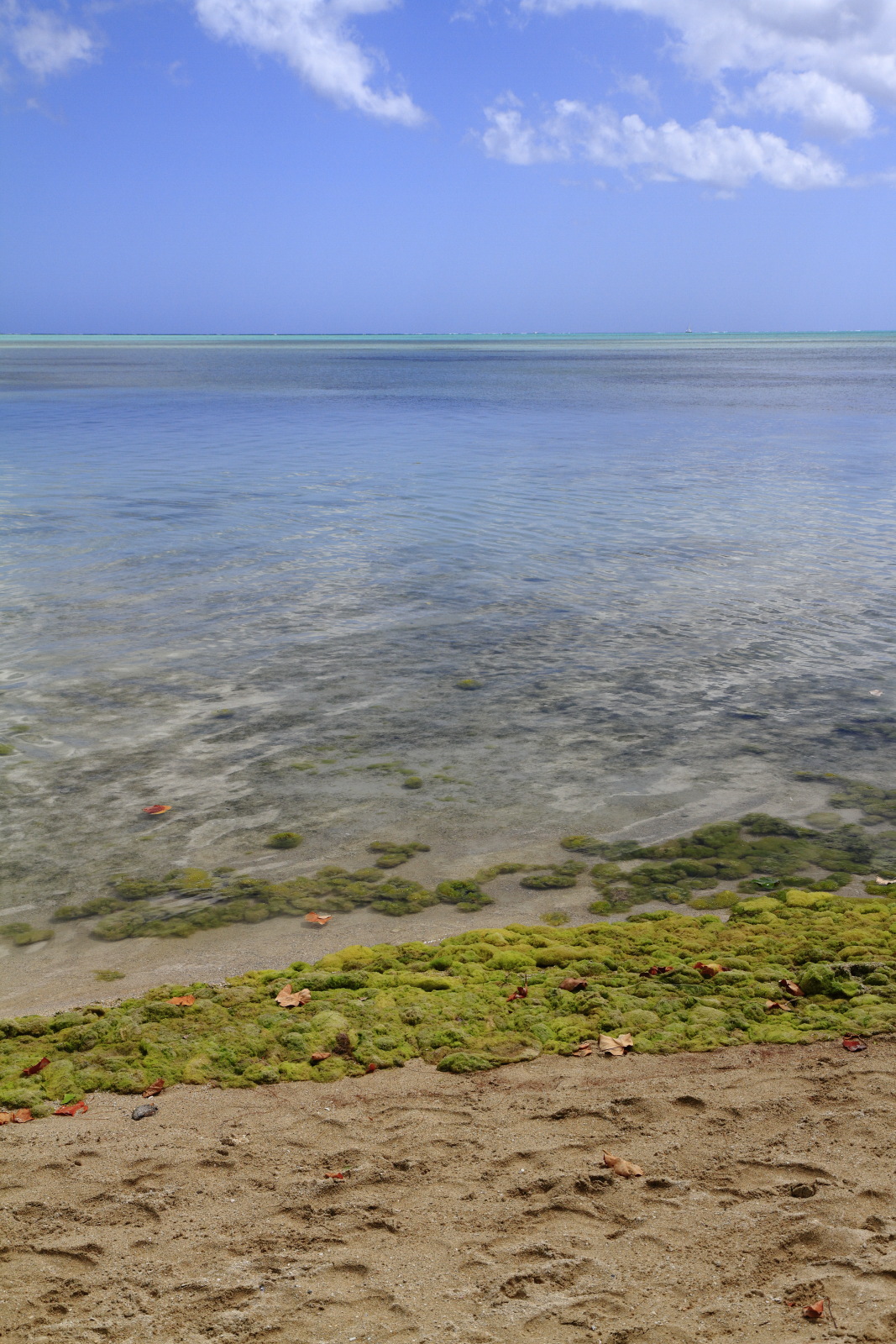 09.22 Mauritius  MG 7299